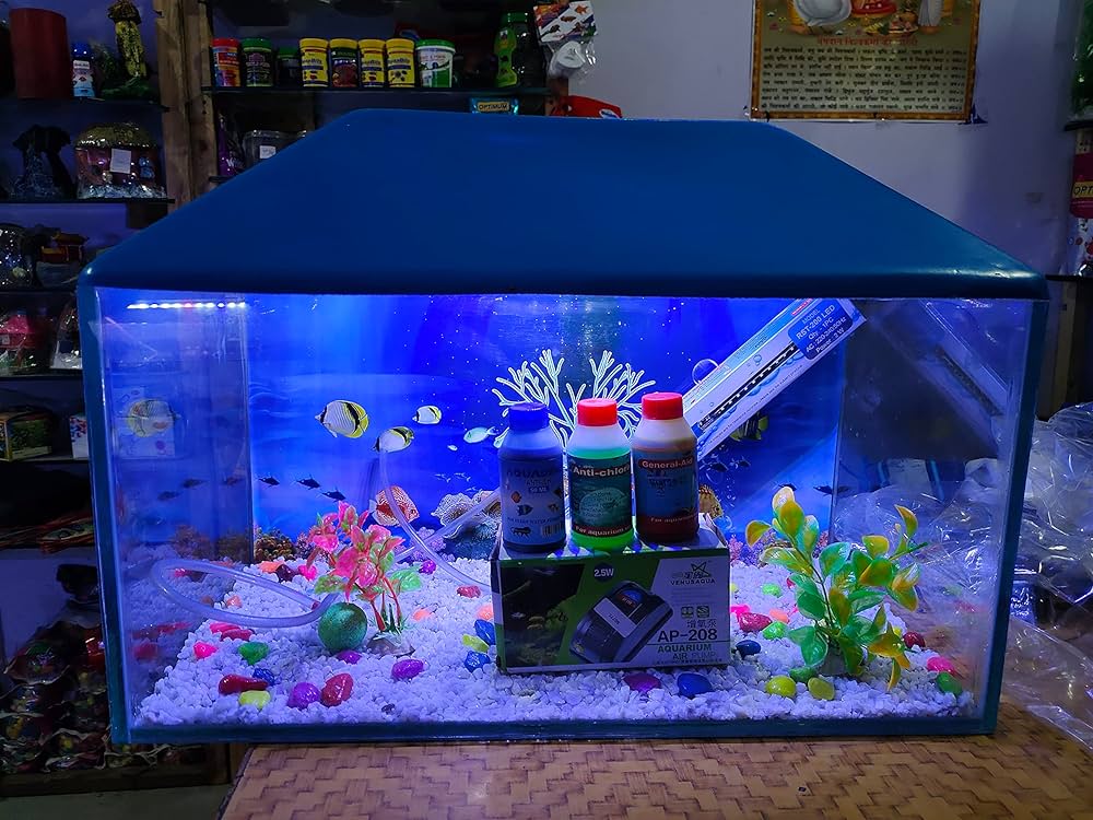 Fish Tanks